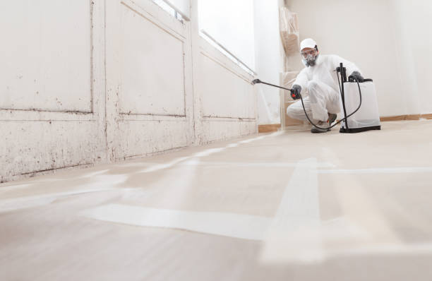24/7 Emergency Crawl Space Mold Removal experts in Newton, NC